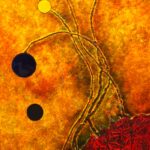 EQUILIBRE Precaire 60x120